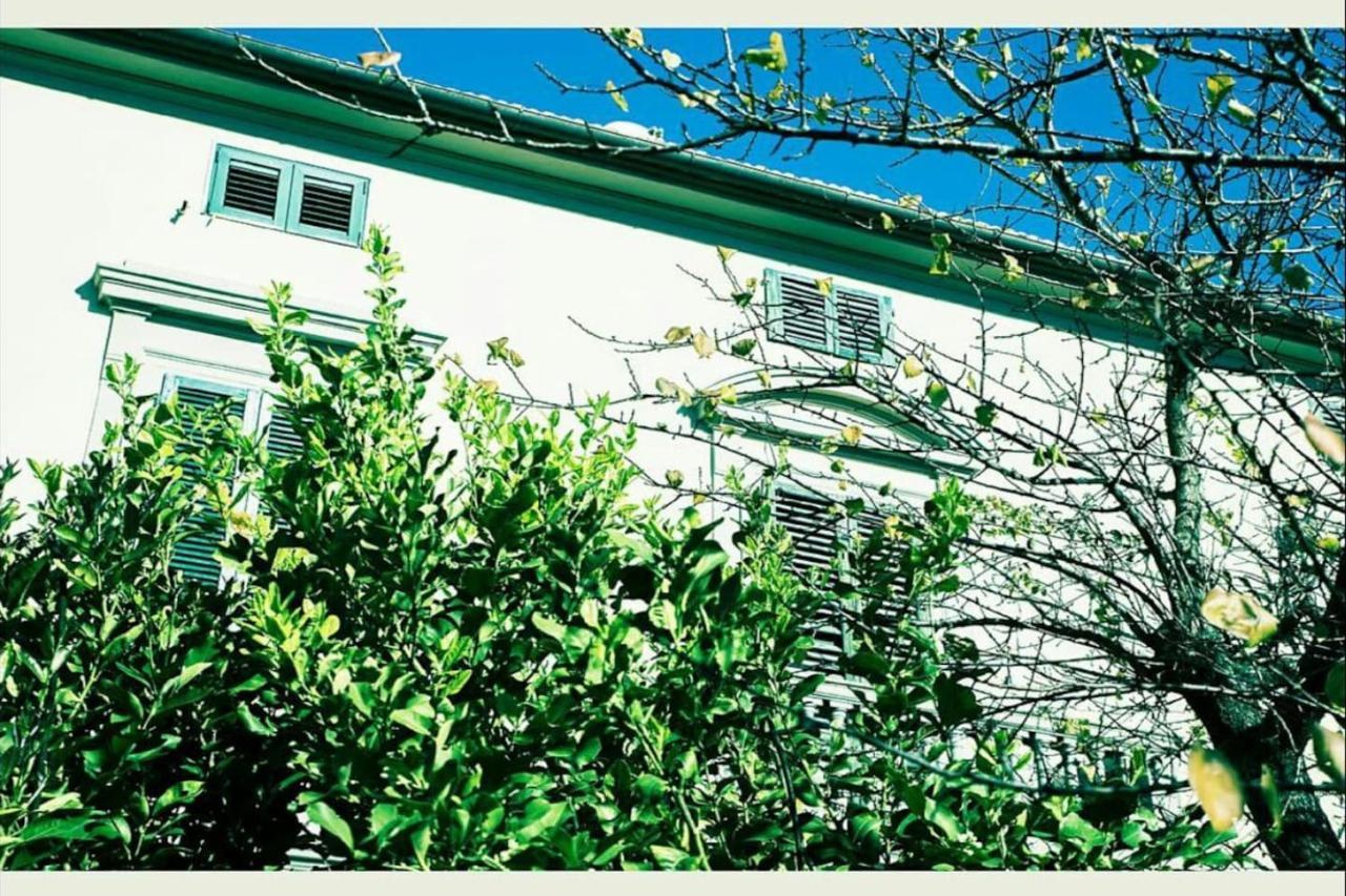 Affittacamere Porquier Crespina Exterior foto